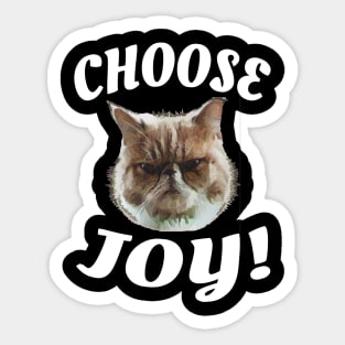 Choose Joy! Sticker